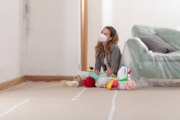 Reliable Mold Removal contractor in Kenilworth, NJ by WQB Mold Removal